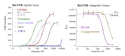 Cayman Chemical Rat FarnsoId X Receptr Repo 96