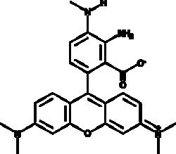 Cayman Chemical&nbsp;ANTIBODY DAR-4M 1mg
