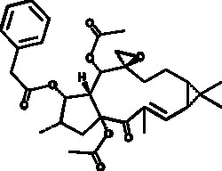 Cayman Chemical&nbsp;EuphorbIasteroId 100mg