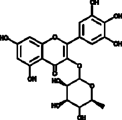 Cayman Chemical&nbsp;Myrca rubra bark Myrctrn 10mg