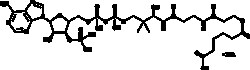 Cayman Chemical&nbsp;AdIpoylCoenzyme AsodIM sa 10mg
