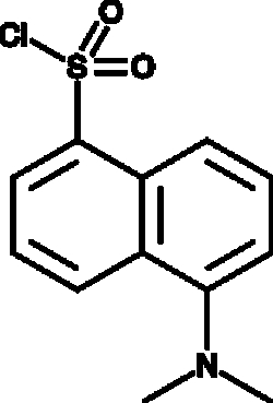 Cayman Chemical&nbsp;Dnsyl ChlorIde 1g