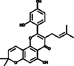 Cayman Chemical&nbsp;Plnt Cortex morI MorusIn 5mg