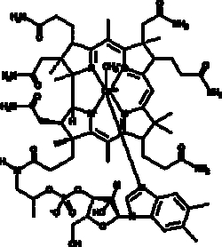 Cayman Chemical MethylcobalamIn 1g