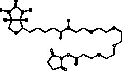 Cayman Chemical BIotIn-PEG4-NHS 50mg, Quantity: Each of 1