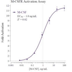 Cayman Chemical Humn Macrophage CoLNyStImu 384