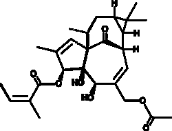 Cayman Chemical&nbsp;20OAcetylngenol3ngelate 10mg
