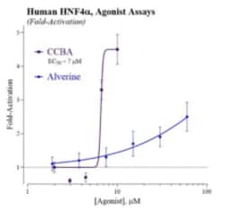 Cayman Chemical Humn Hepatocyte Nuclear Fact, Quantity: Each of 1