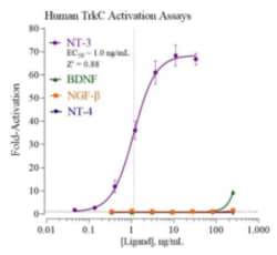 Cayman Chemical&nbsp;Humn TropomysIn RECPTR KIn 384