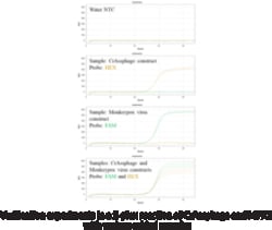 Cayman Chemical CrAsphage qPCR asy 1ea