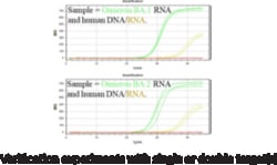 Cayman Chemical&nbsp;COVID N1P RT-qPCR asy 1ea
