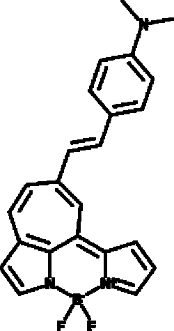 Cayman Chemical&nbsp;nurofIbrIlary Tngle BODIPY