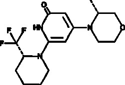 Cayman Chemical ANTIBODY SB-02024 1mg, Quantity: Each of 1
