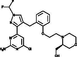 Cayman Chemical ANTIBODY TDI-11861 500ug