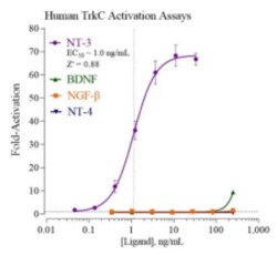 Cayman Chemical Humn TropomysIn Receptr KIn 96