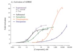 Cayman Chemical Humn Adrenoceptr Beta 2 Rep 96