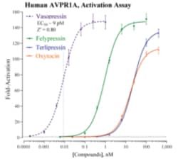 Cayman Chemical Humn ArgInIn VasoprSIn Re 384