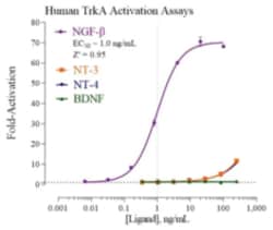 Cayman Chemical Humn TropomysIn Receptr KIn 96