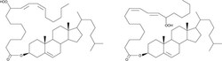 Cayman Chemical Cholesteryl Linoleate Hydrope
