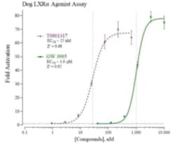 Cayman Chemical&nbsp;Dog LIvR X ReceptrAlpha R 96