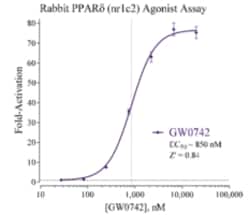 Cayman Chemical&nbsp;RabbIt PRoxIsome ProlIfRato 96