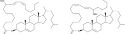 Cayman Chemical Cholesteryl Linoleate Hydrope