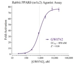 Cayman Chemical&nbsp;RabbIt PRoxISME ProlIfRato