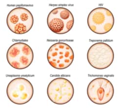 Cayman Chemical&nbsp;STI6LesIonsBIo-Rad Mult 1ea