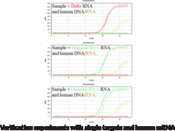 Cayman Chemical COVID N1P-N2P RT-qPCR asy 1ea