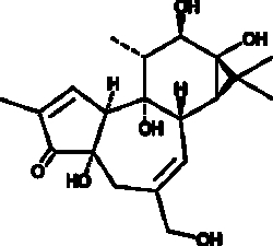 Cayman Chemical ANTIBODY 4a-Phorbol 500ug