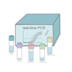Cayman Chemical Standard RT-qPCR Enzyme Maste