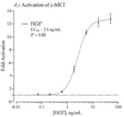 Cayman Chemical Humn cMET  Hepatocyte Grow 384