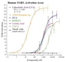 Cayman Chemical&nbsp;Humn G ProteInCoupled BIle 96
