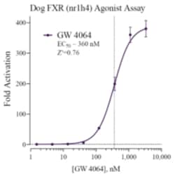 Cayman Chemical&nbsp;Dog FarnsoId X Receptr Repo 96