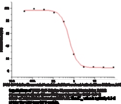 Cayman Chemical SARSCoV2 SpIke GlycoproteIn
