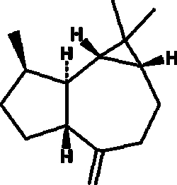 Cayman Chemical&nbsp;Aromadendren 10mg