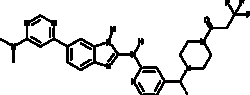 Cayman Chemical&nbsp;ANTIBODY BAY-985 500ug