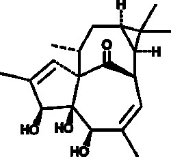 Cayman Chemical&nbsp;20-Deoxyngenol 10mg
