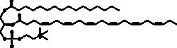 Cayman Chemical&nbsp;1PalmItol2Docosahexaenol 10mg