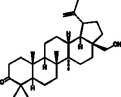 Cayman Chemical&nbsp;3-OxobetulIn 10mg