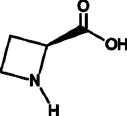 Cayman Chemical LAzetIdIn2carboxylIc ACD 500mg