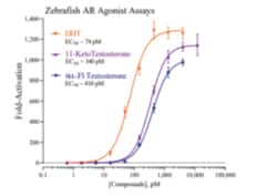 Cayman Chemical&nbsp;ZebrafIsh ndrogen RECPTR R