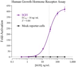Cayman Chemical Humn Growth Hormon Receptr 384
