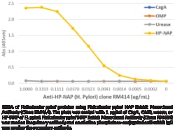 Cayman Chemical HelIcobacTR pylorI NAP RabbI
