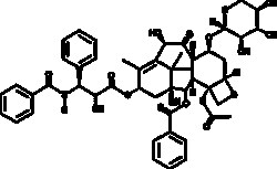 Cayman Chemical&nbsp;10deACtyl7xylosyl PaclIta 10mg