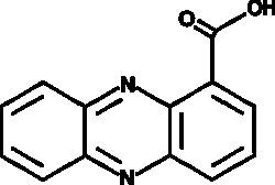Cayman Chemical&nbsp;TubermycIn B 10mg