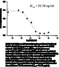 Cayman Chemical SARS-CoV-2humn nutralIzI 100ug