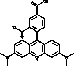 Cayman Chemical 5CarytetramthylrhodamIn 10mg, Quantity: Each of 1