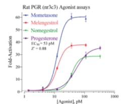 Cayman Chemical&nbsp;Rat ProgSTRon Receptr Rep 3x32