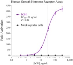 Cayman Chemical Humn Growth Hormon Receptr 96